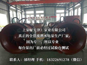 探索流體世界的隱秘力量 潛水貫流泵、全貫流閘門泵、燈泡泵與臥式全貫流泵技術解析