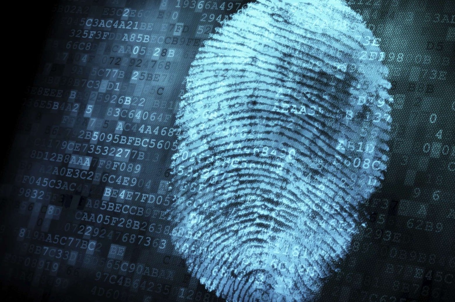 計算機系統集成及綜合布線 構建高效可靠的IT基礎架構