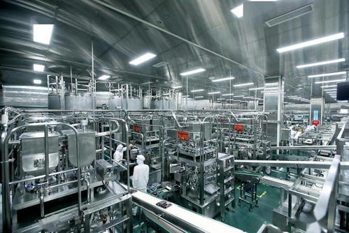 從餐桌到源頭 全程監控系統引領火鍋食品安全新變革